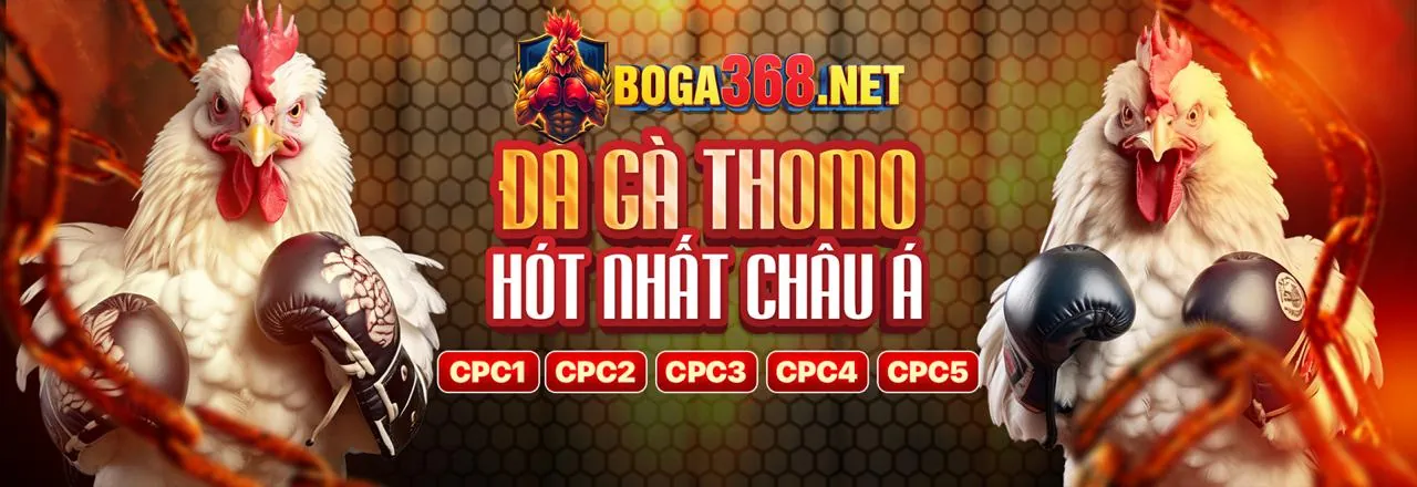 Hoàn Trả Tiền Cược dv888